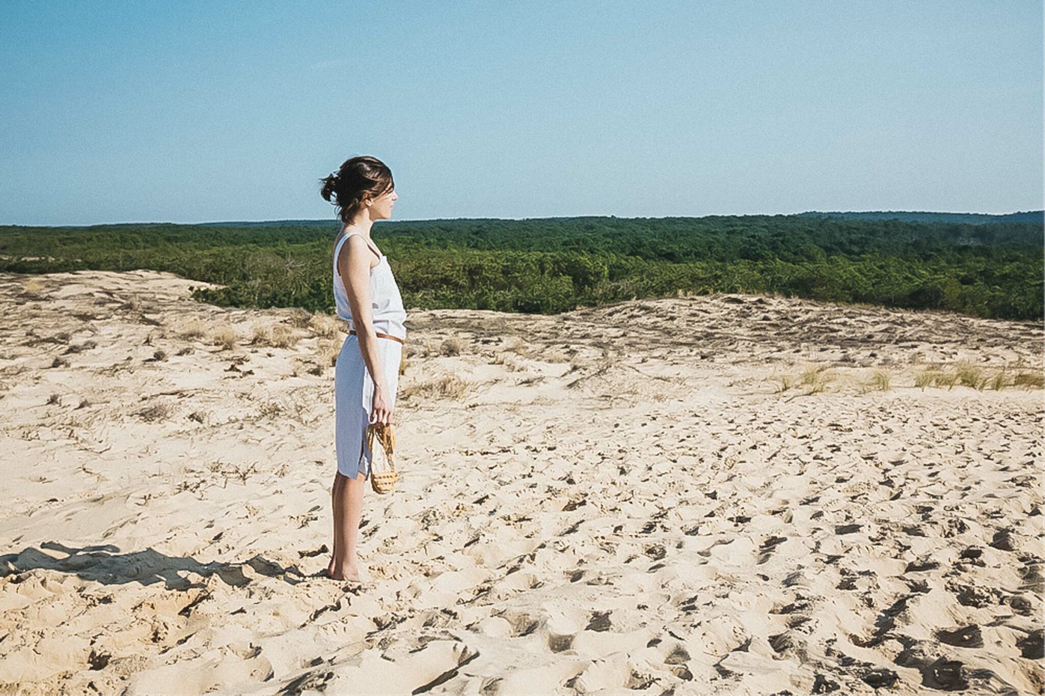 Océopin, le pin maritime au coeur de la cosmétique