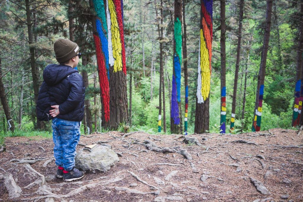 La forêt peinte du Bosque de Oma