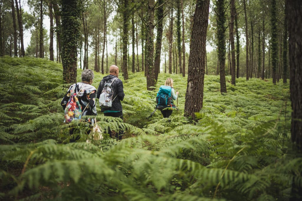 3 activités immersives à Seignosse avec Inspire  Nature