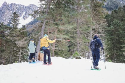 Sortie raquettes accompagnée à Cauterets sous la neige dans les Pyrénées